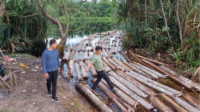 Polda Riau Bongkar 10 Ton Kayu Illegal Logging dan Gulung Komplotan Mafia Kayu 'Mat Ari'